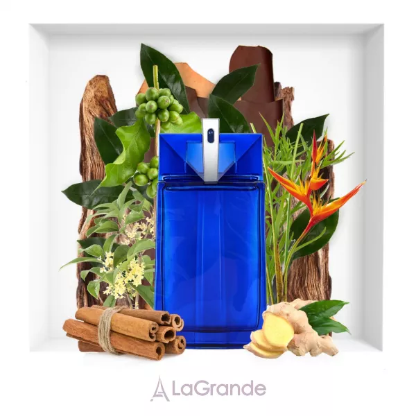 Thierry Mugler Alien Man Fusion �������� ����
