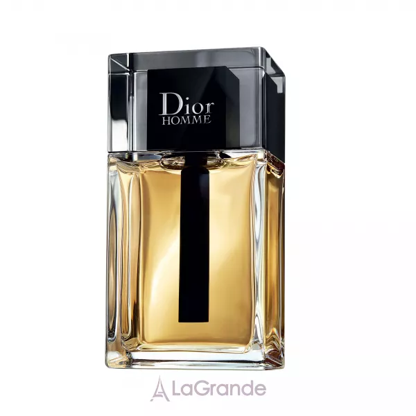 Christian Dior Dior Homme 2020 ��������� ���� (������)