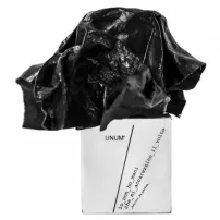 Unum Giacomelli ��������������� ����