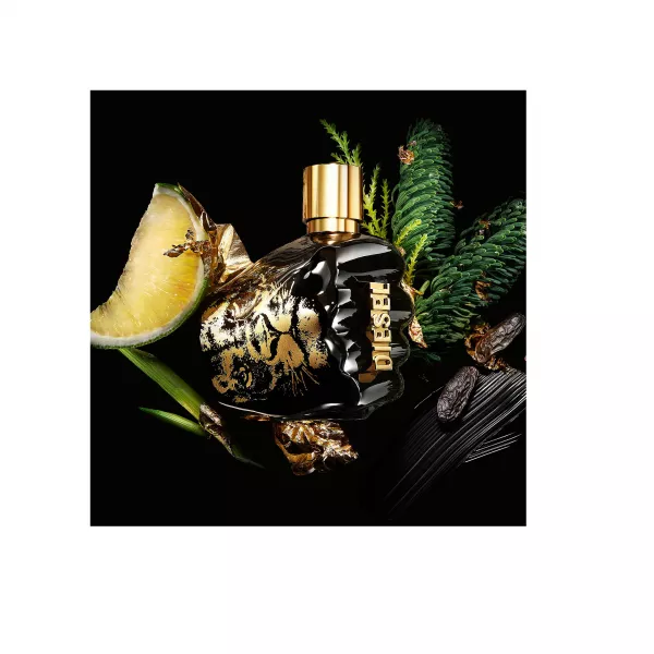 Diesel Spirit Of The Brave ��������� ����
