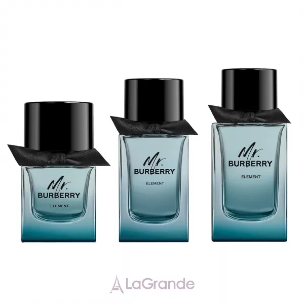 Burberry Mr. Burberry Element �������� ����