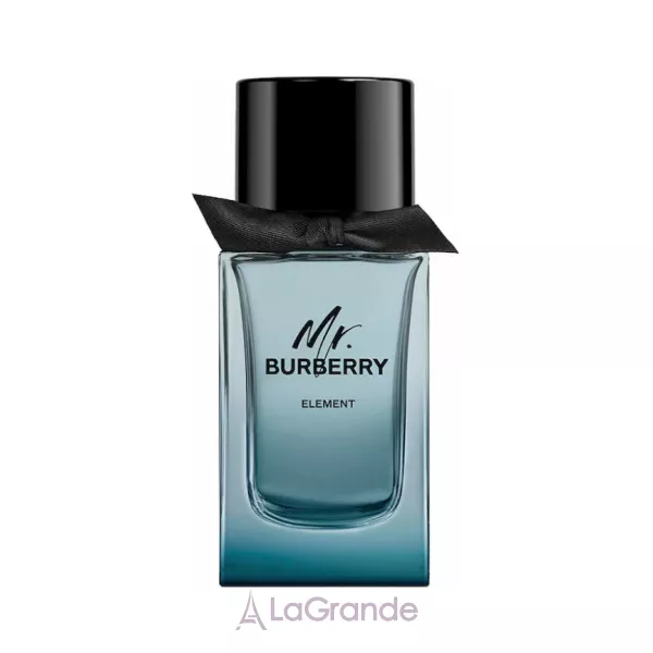 Burberry Mr. Burberry Element ��������� ���� (������)