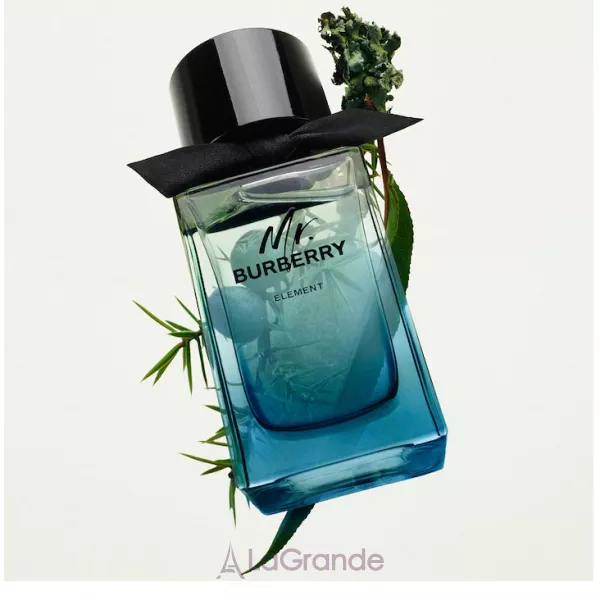 Burberry Mr. Burberry Element ��������� ���� (������)