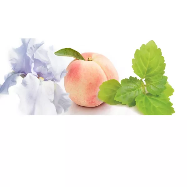 Bvlgari Splendida Patchouli Tentation ��������������� ����