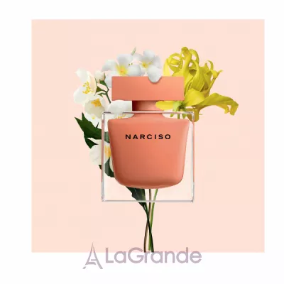 Narciso Rodriguez Narciso Eau de Parfum Ambree   ()