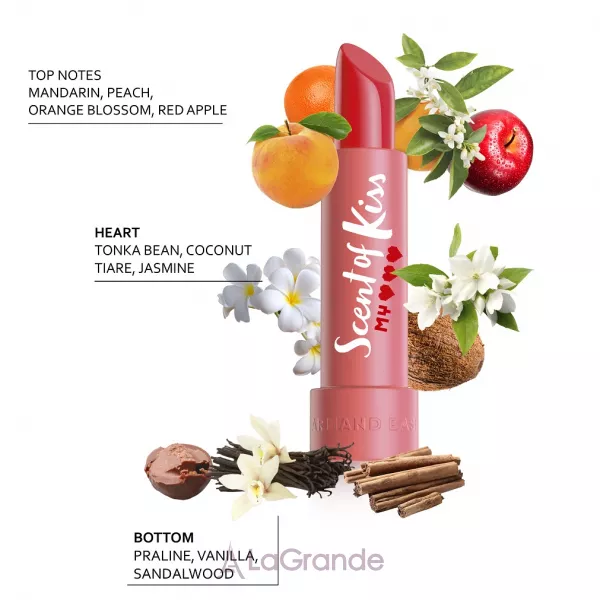 Armand Basi Scent Of Kiss My Heart �������� ����