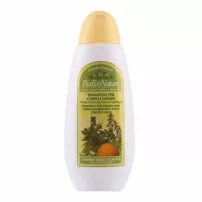 Bema Cosmetici Bioeconatura Hair Line Shampoo For Greasy Hair ������� ��� ������� �������