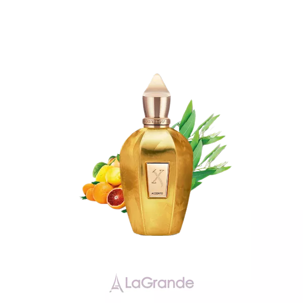 Xerjoff Accento Overdose ��������������� ����