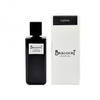 Brecourt Captive ��������������� ����