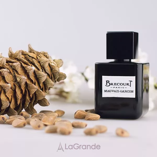 Brecourt Mauvais Garcon ��������������� ����