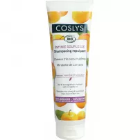Coslys Shampoo for dry and damaged hair with oil Mirabella ������� ��� ������ �� ������������ ������� � ������ ��������