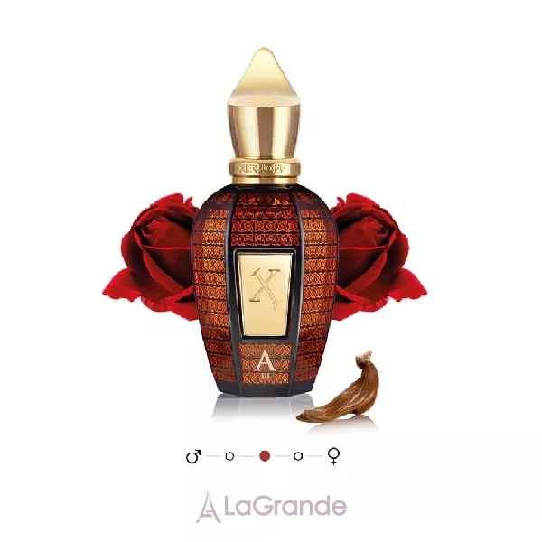 Xerjoff Alexandria III ��������������� ���� (������)
