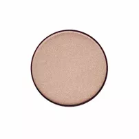 Artdeco Highlighter Powder Compact Refill ��������� �����-��������� (�������� ����)