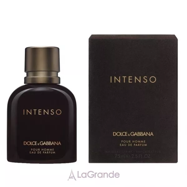 D&g intenso pour clearance homme