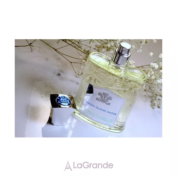 Creed Virgin Island Water ����������� ���� (������)