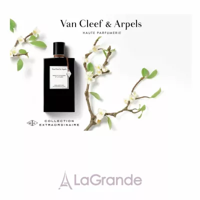 Van Cleef & Arpels Collection Extraordinaire Bois D'Amande   ()