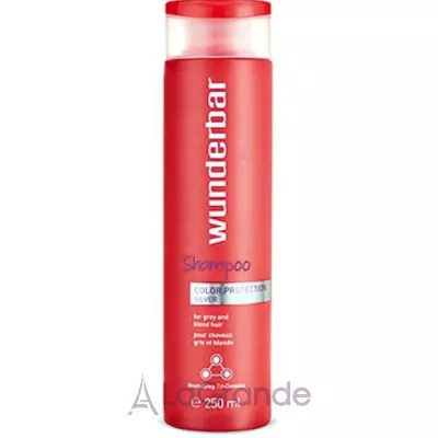 Wunderbar Hair are Color Protection Silver Shampoo       