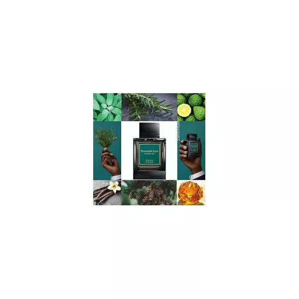 Ermenegildo Zegna Roman Wood ��������������� ���� (������)