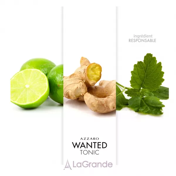 Azzaro Wanted Tonic ��������� ����