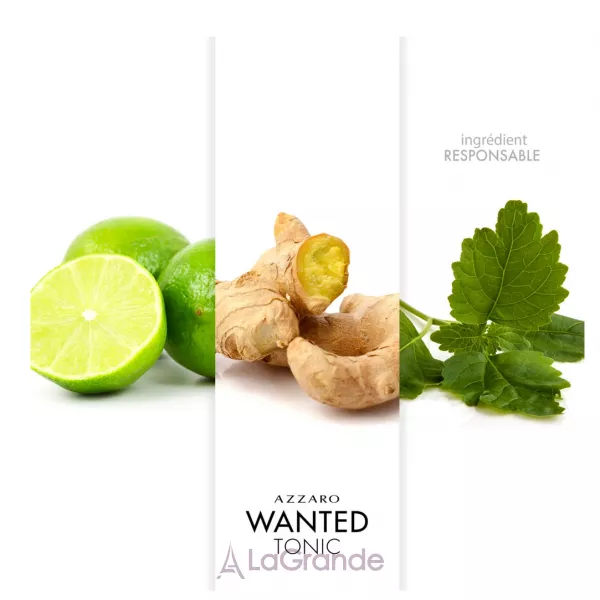 Azzaro Wanted Tonic ��������� ���� (������)