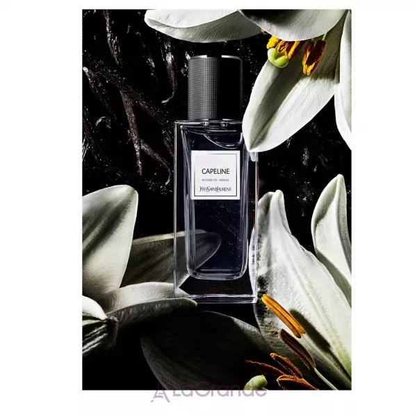 Yves Saint Laurent Capeline ��������������� ���� (������)