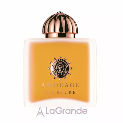 Amouage Overture Women   ()