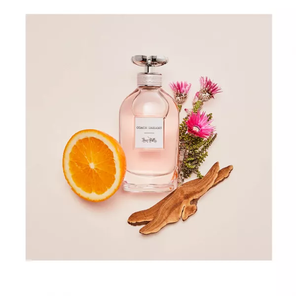 Coach Coach Dreams ��������������� ���� (������)