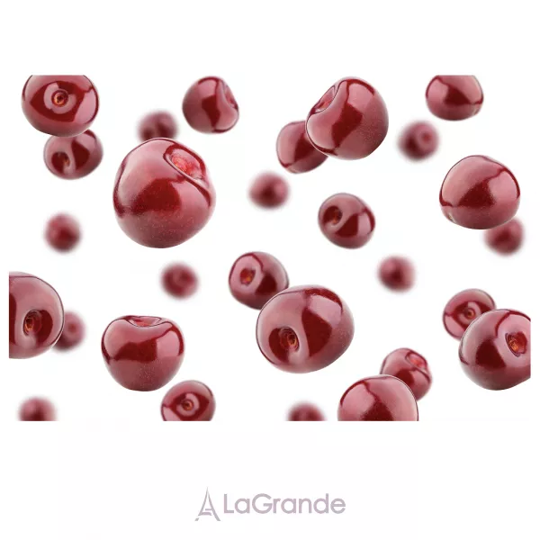 Room 1015 Cherry Punk ��������������� ����