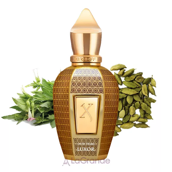 Xerjoff Luxor ���� (������)