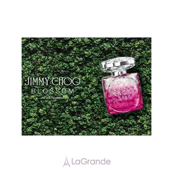 Jimmy Choo Blossom ��������������� ����