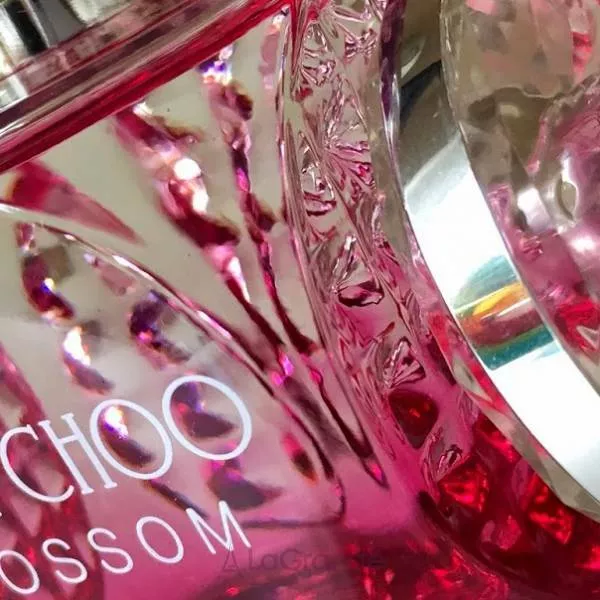 Jimmy Choo Blossom ��������������� ����