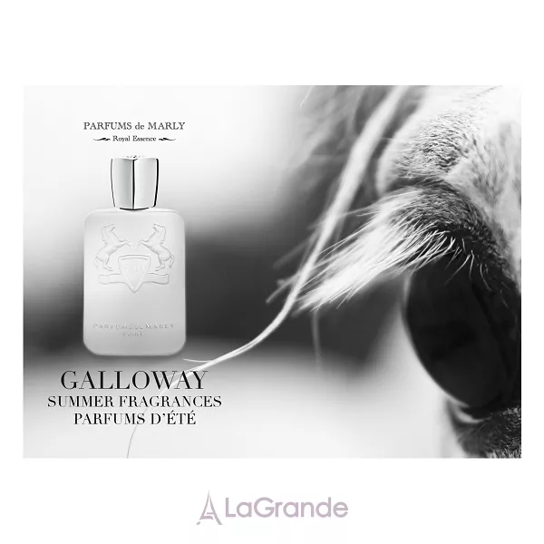 Parfums de Marly Galloway ��������������� ����