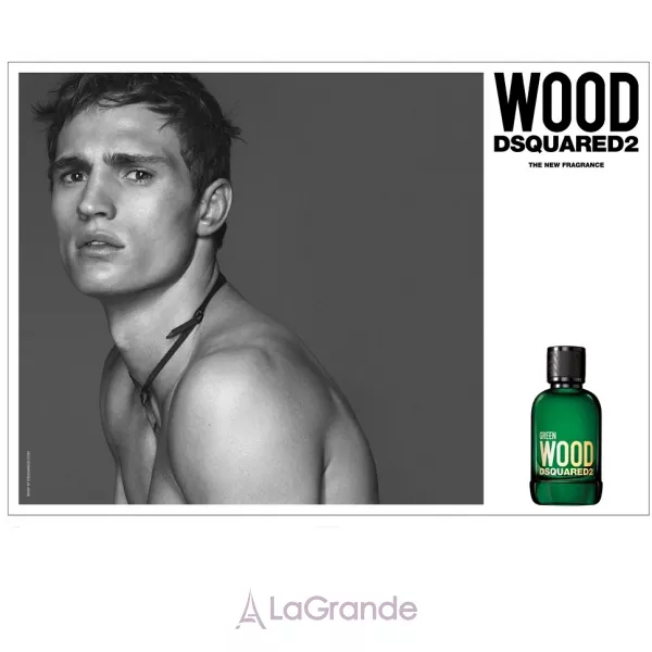 Dsquared2 Green Wood �������� ���� (������)