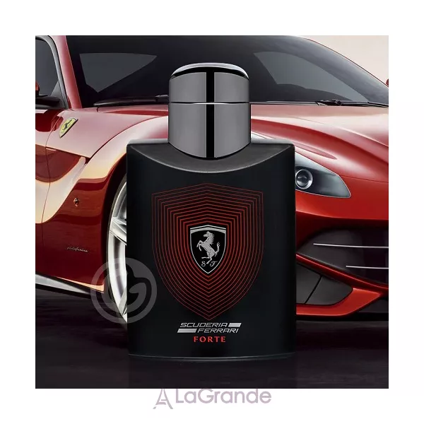 Ferrari Scuderia Forte ��������������� ����