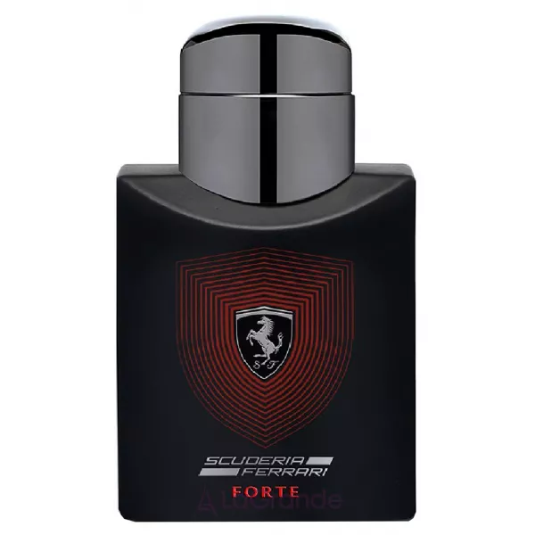 Ferrari Scuderia Forte ��������������� ���� (������)