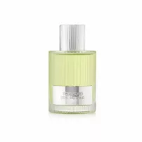 Tom Ford Beau de Jour 2020 ��������������� ���� (������)