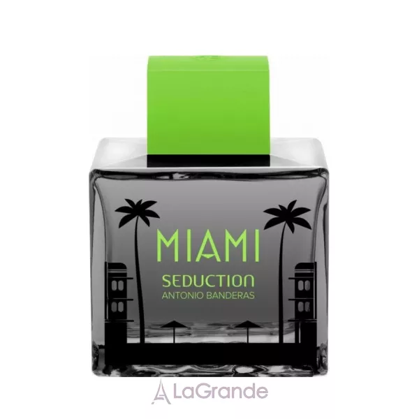 Antonio Banderas Miami Seduction in Black �������� ���� (������)