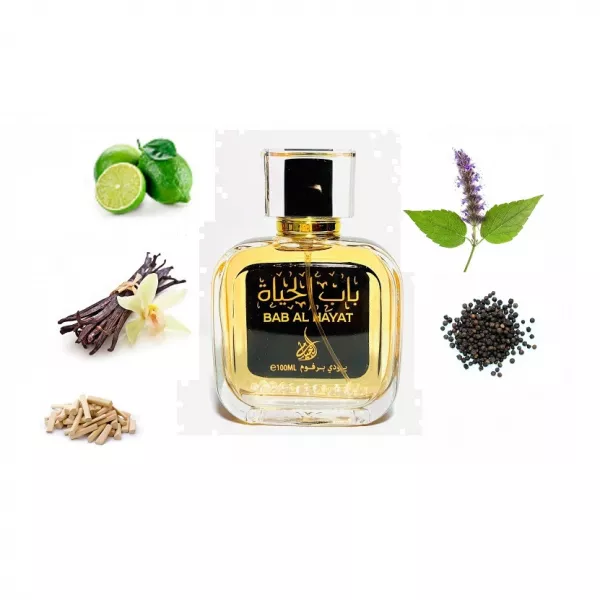 Al Khayam Bab Al Hayat ��������������� ����