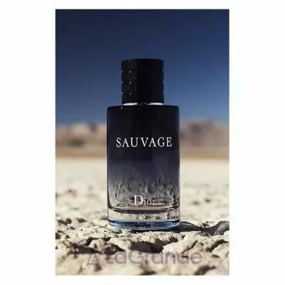 Christian Dior Sauvage 2015   ()