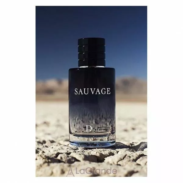 Christian Dior Sauvage 2015 ��������� ���� (������)