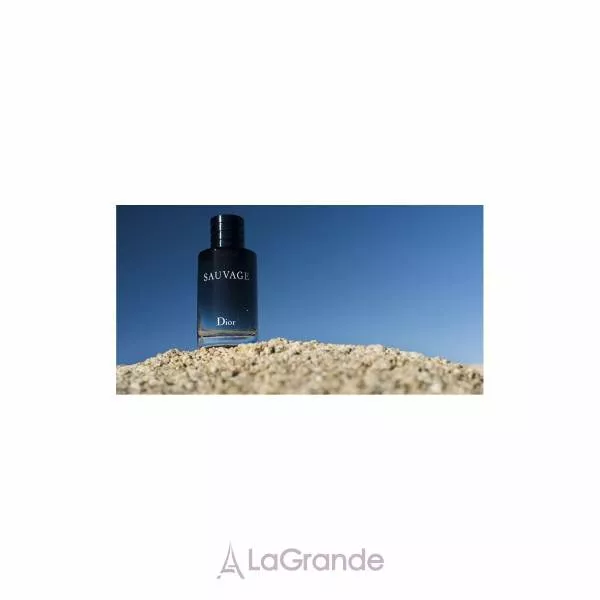 Christian Dior Sauvage 2015 ��������� ���� (������)