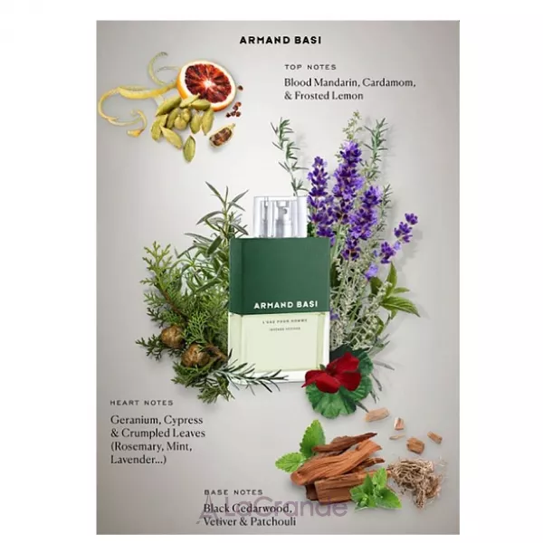Armand Basi L'eau Pour Homme Intense Vetiver �������� ����