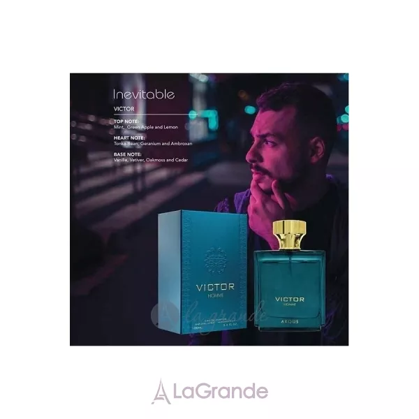 Arqus Victor ��������������� ����