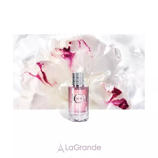 Christian Dior Joy By Dior ����������