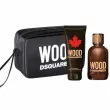 DSquared2 Wood Pour Homme  (  100  +    100  + )