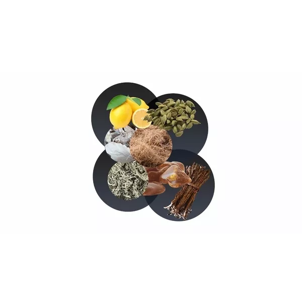 Lalique Hommage a L`Homme Voyageur �������� ����