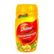 Dabur Chyawanprash Mango Flavor     