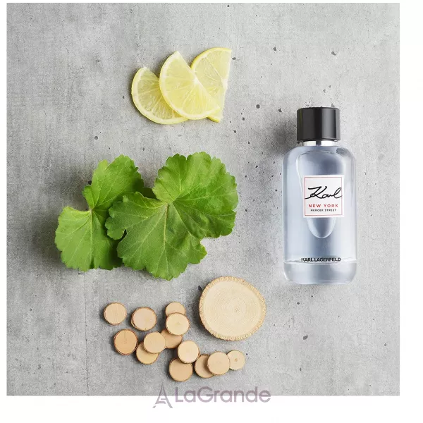 Karl Lagerfeld New York Mercer Street ��������� ����