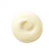 Shiseido Benefiance Wrinkle Smoothing Day Cream SPF25  ,   