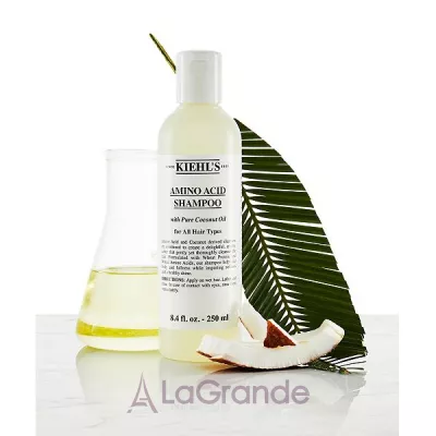 Kiehl's Amino Acid Shampoo With Pure Coconut Oil       
